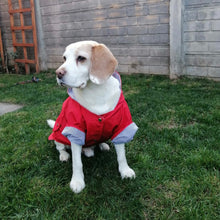 Cargar imagen en el visor de la galería, impermeable para perro Doglamour
