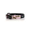 collar perro leopardos